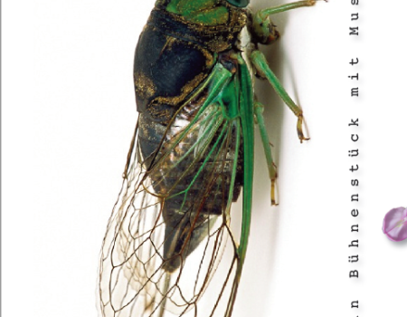 Zikaden - Ein Bühnenstück mit Musik